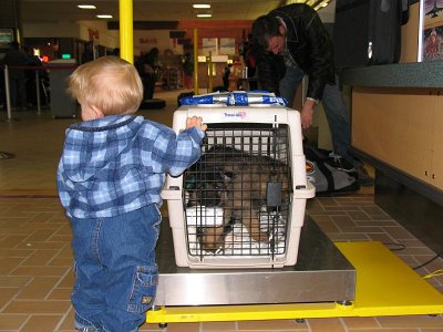 Nicholaas and Bullet and Bronte at airport